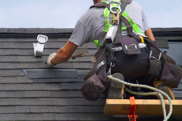 Best Roof Gutter Cleaning  in Belington, WV