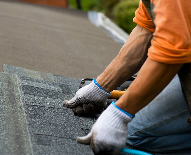 Best Roof Repair Services  in Belington, WV
